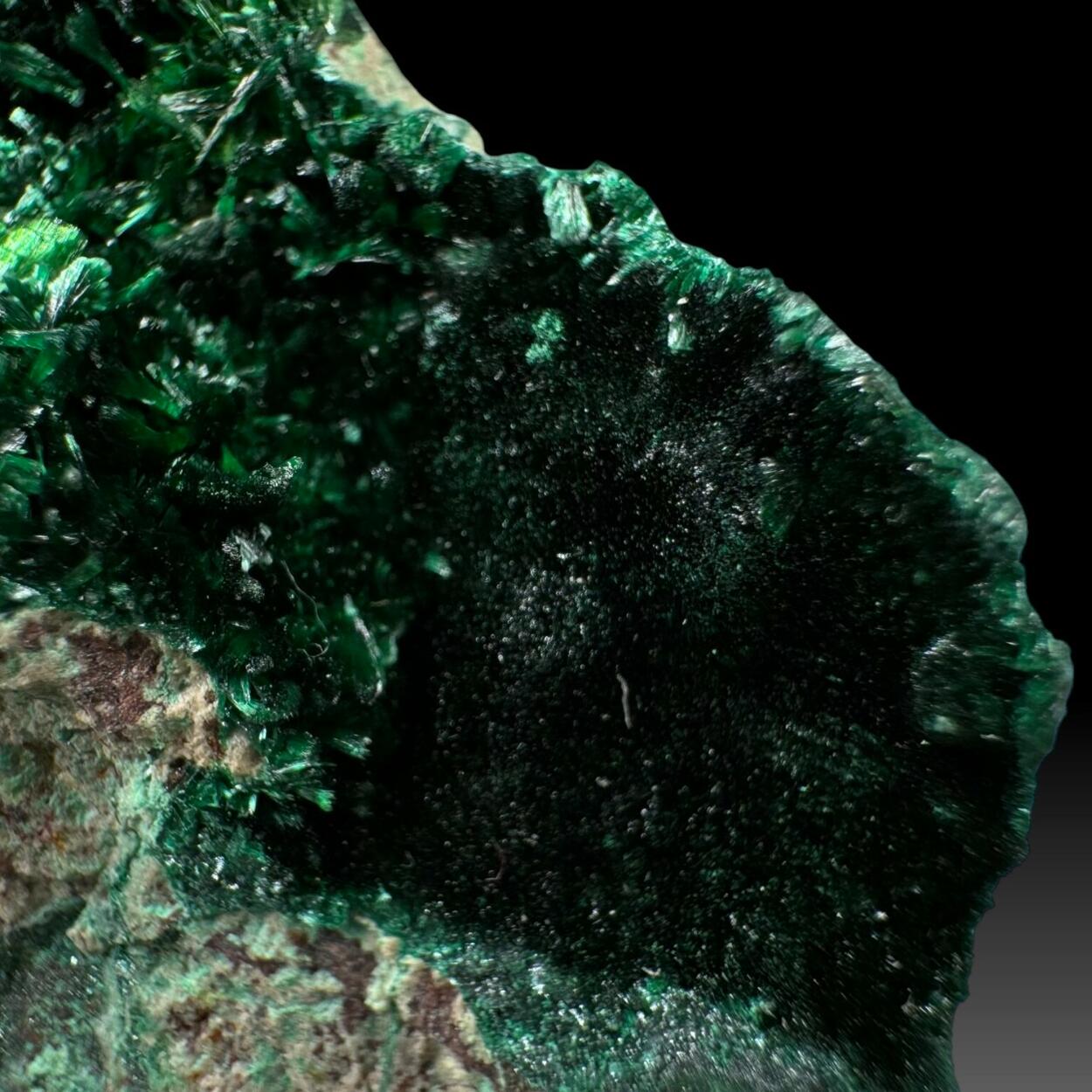 Metatorbernite Malachite