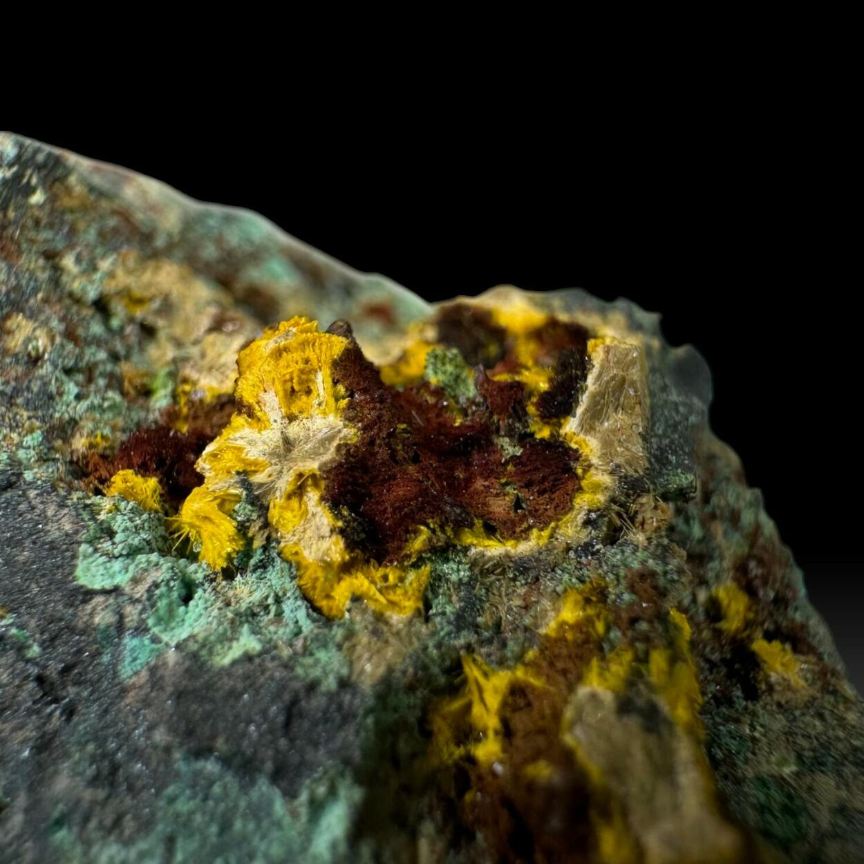 Rutherfordine Schoepite Digenite Malachite