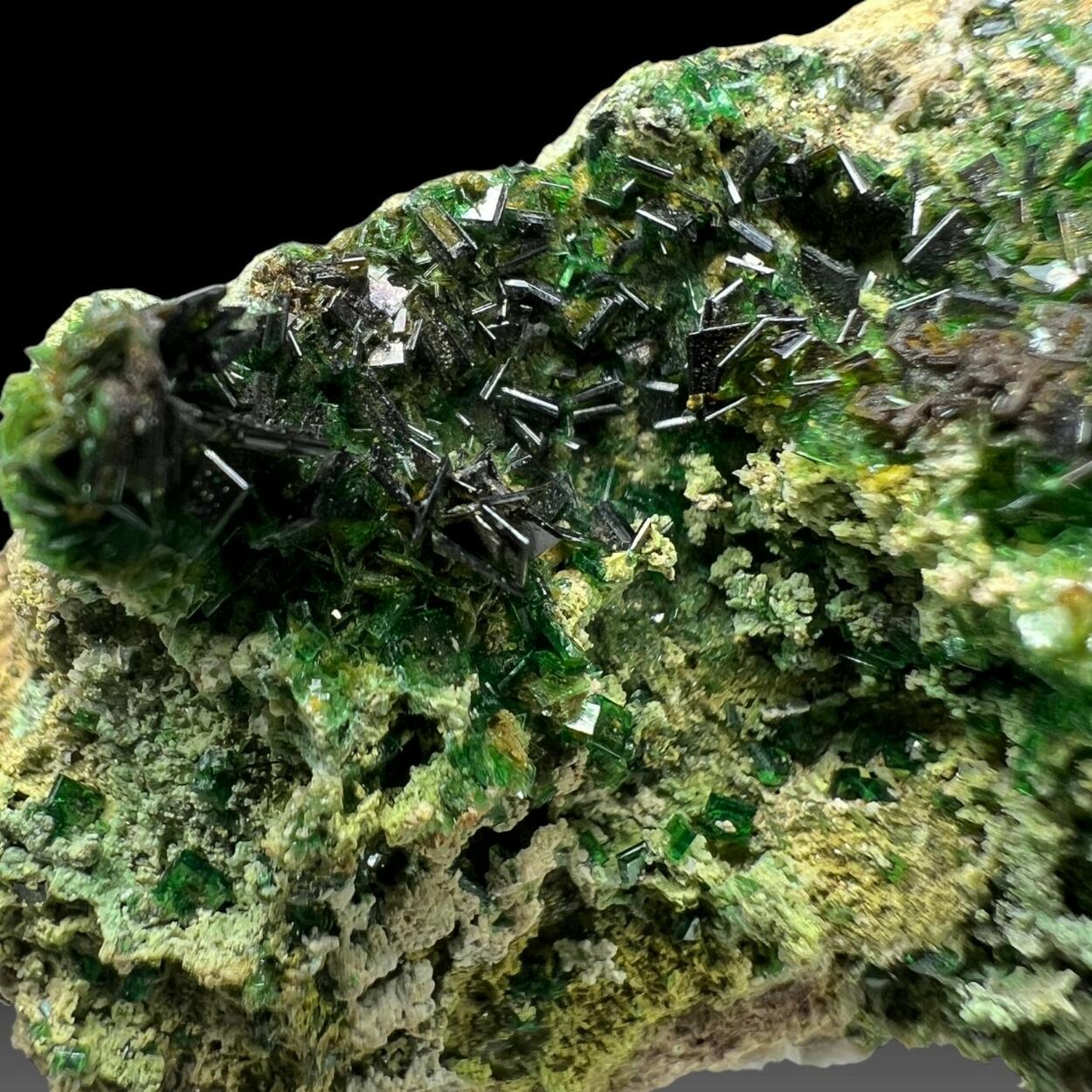 Parsonsite With Torbernite & Dewindtite