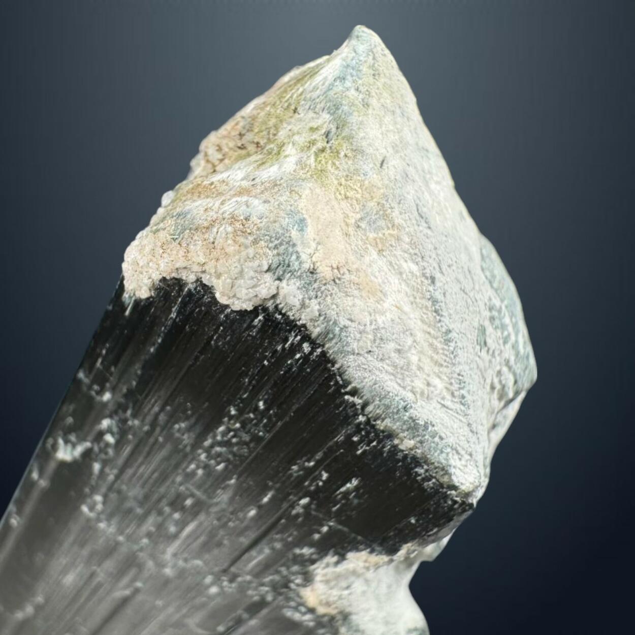 Actinolite