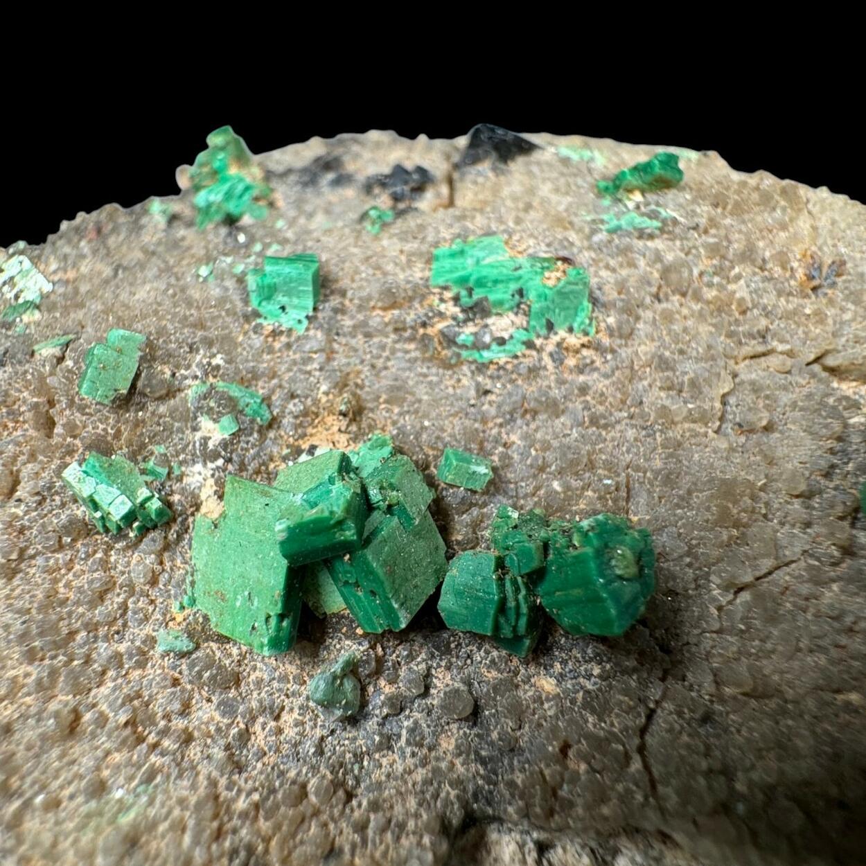 Metatorbernite