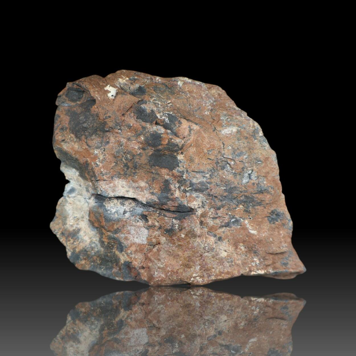 Allanite-(Ce)