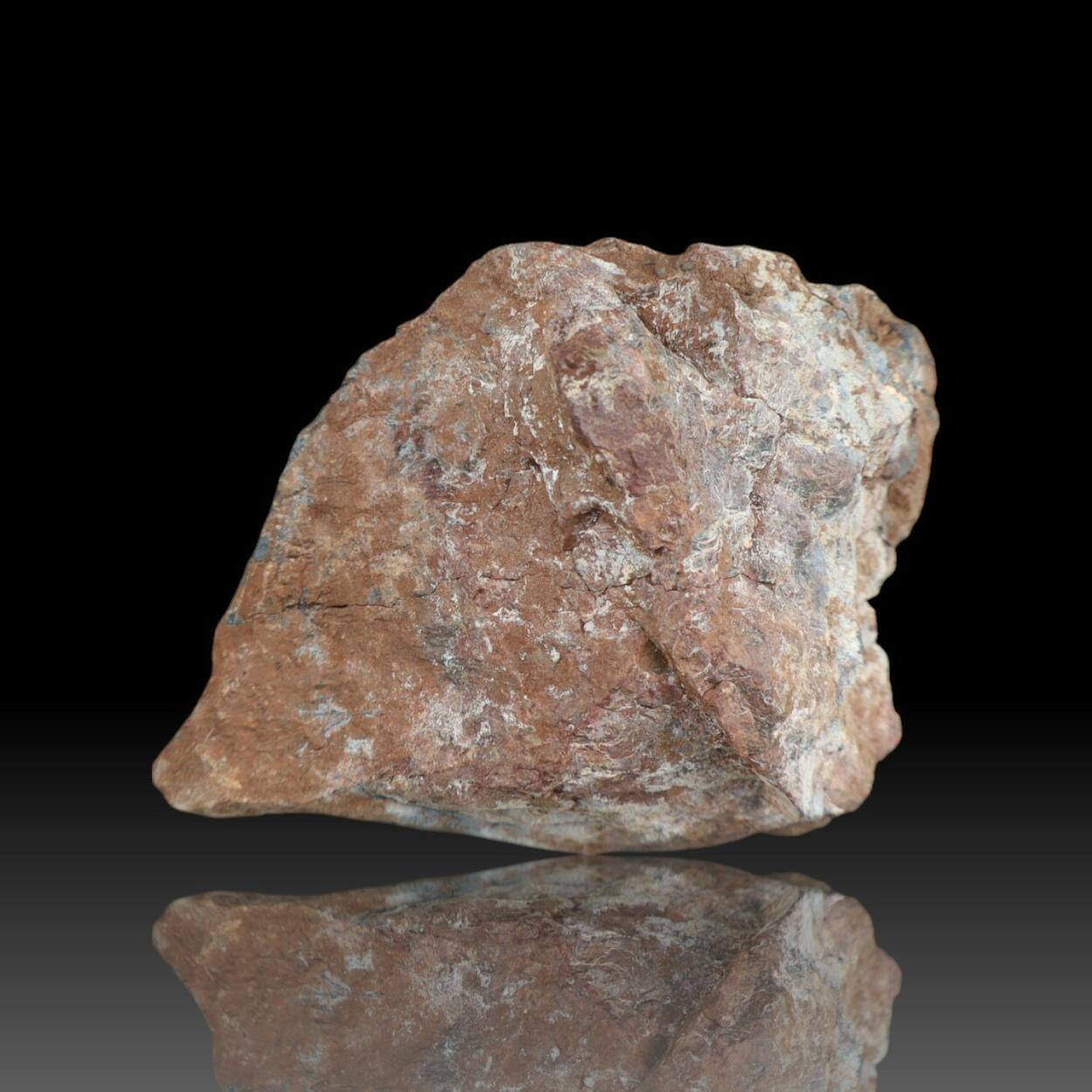 Allanite-(Ce)