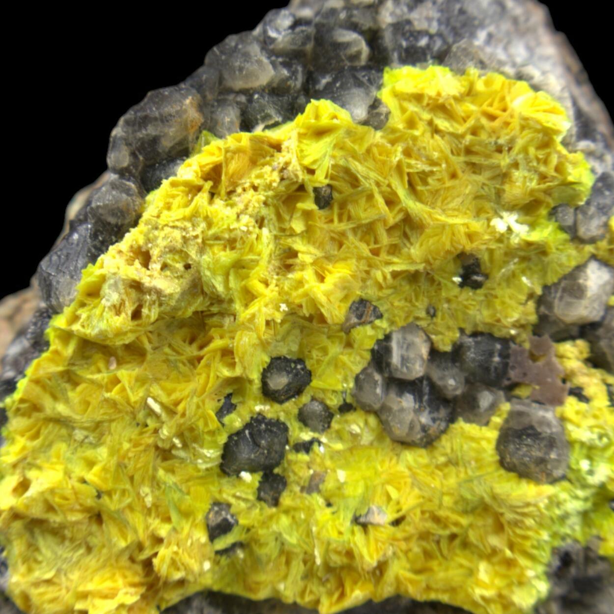 Autunite