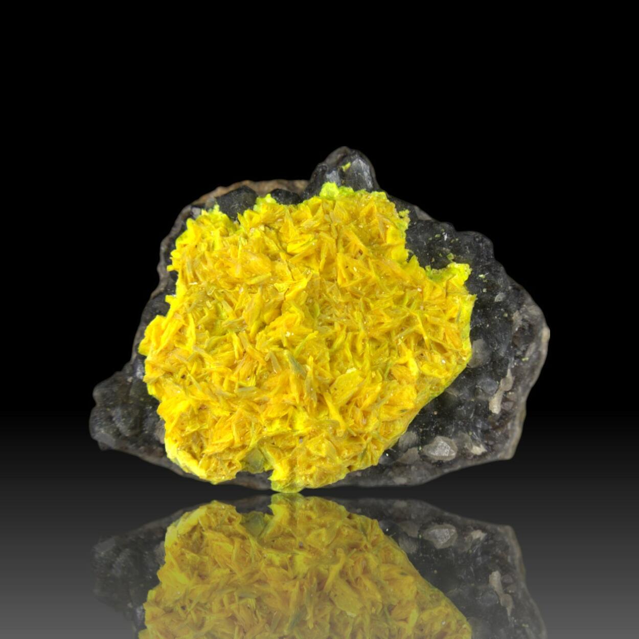 Autunite