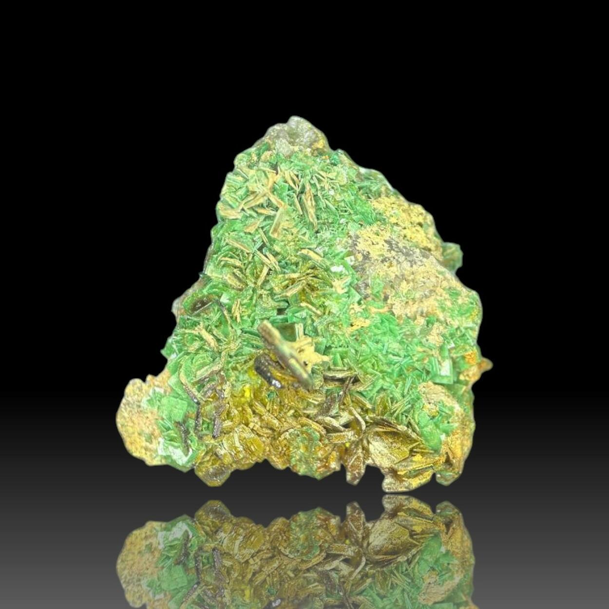 Parsonsite With Torbernite & Dewindtite