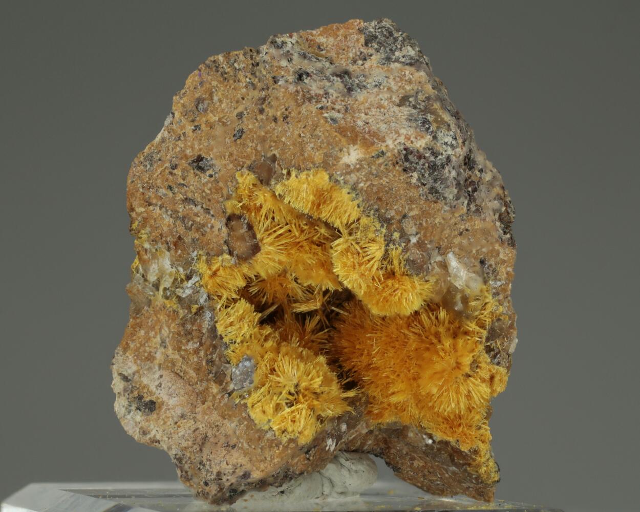 Boltwoodite
