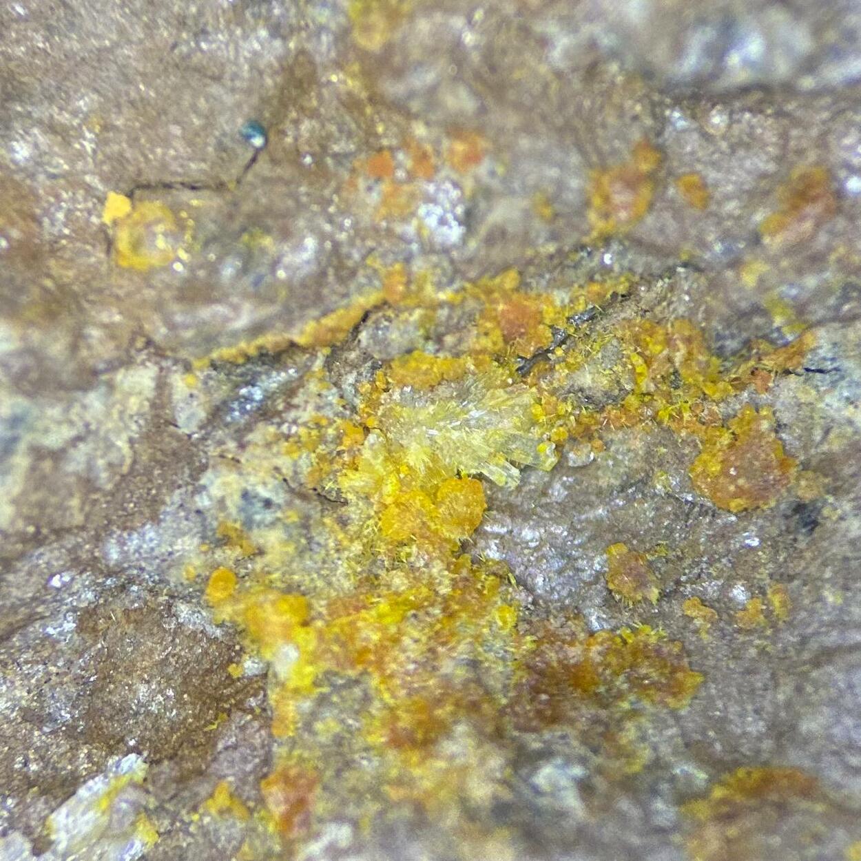 Blatonite & Zinczippeite