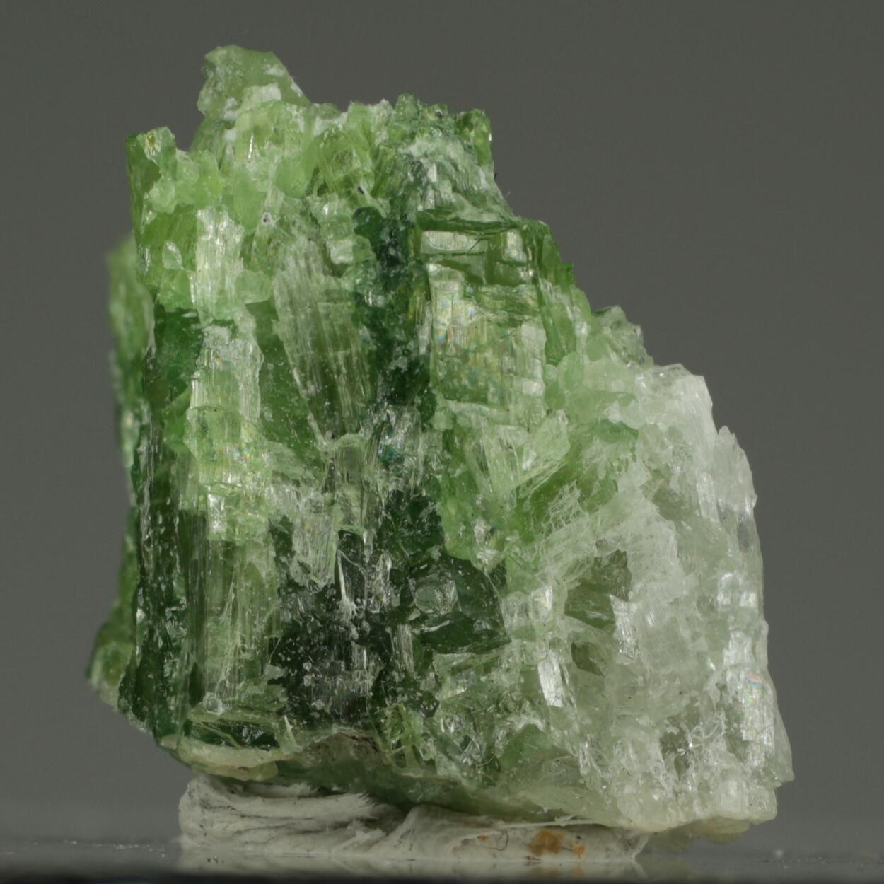Chromo-alumino-povondraite & Tremolite