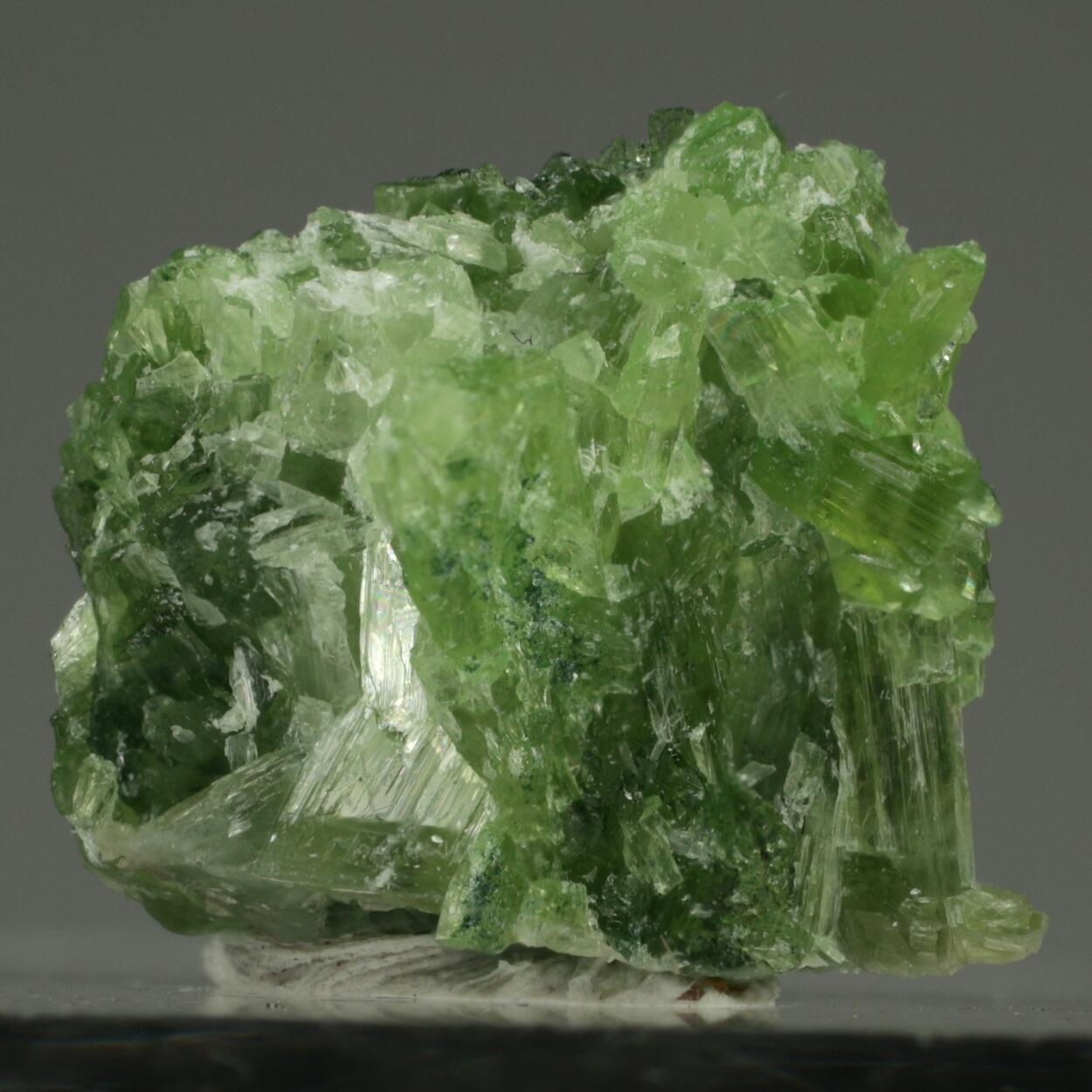Chromo-alumino-povondraite & Tremolite