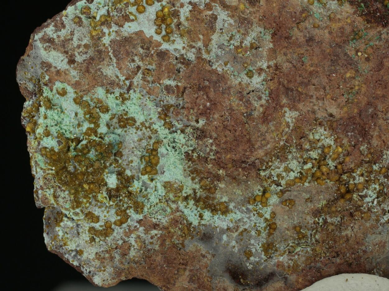 Becquerelite & Uranopilite