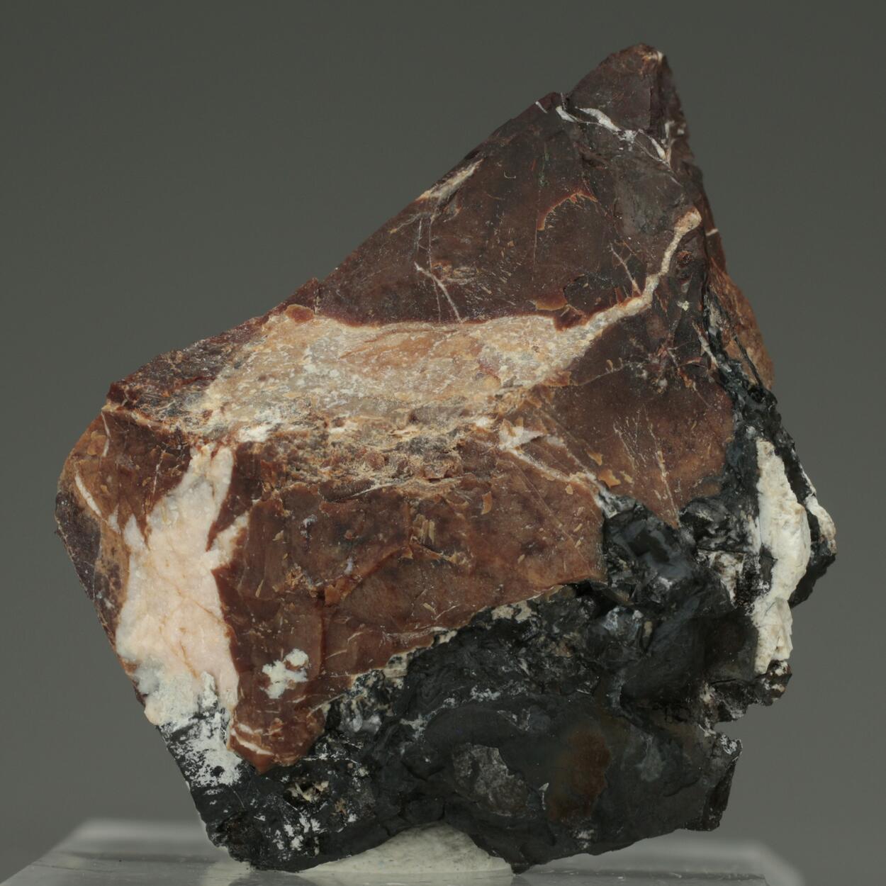 Coralloite