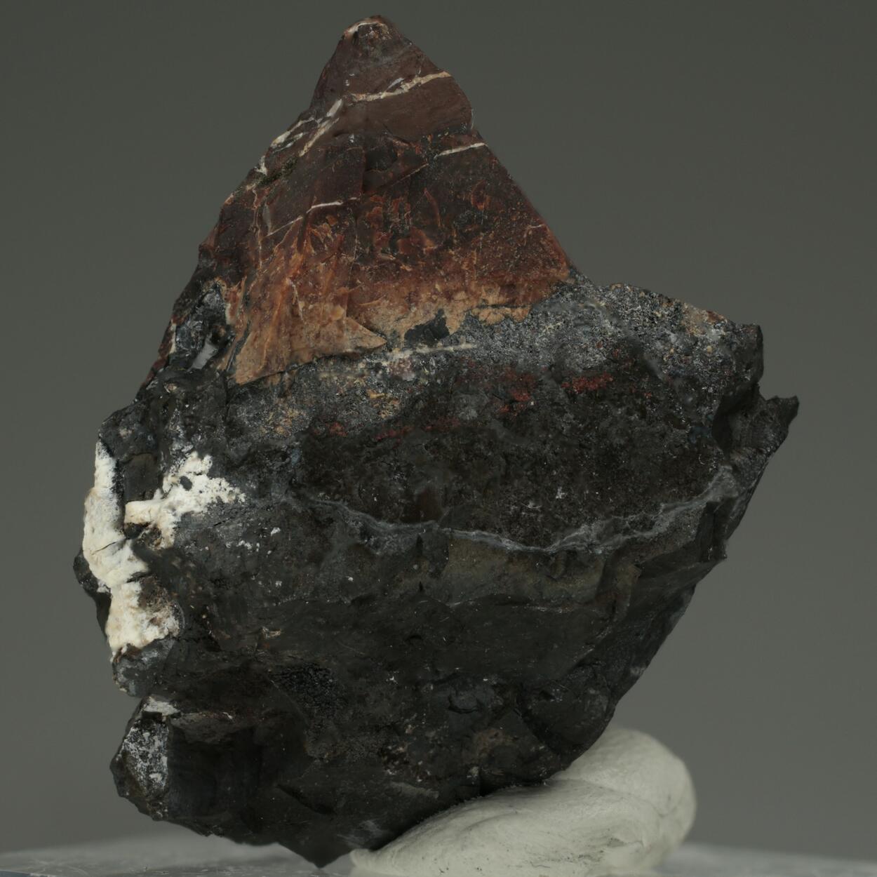 Coralloite