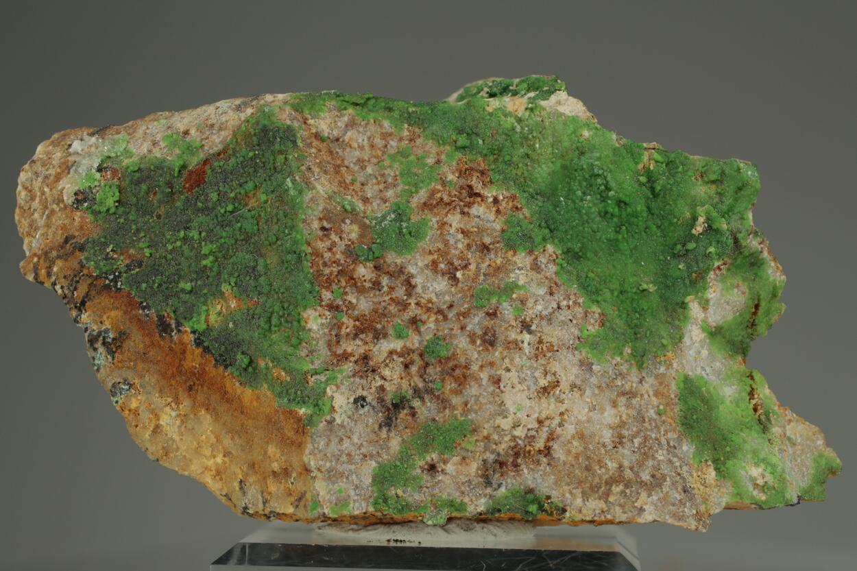 Conichalcite