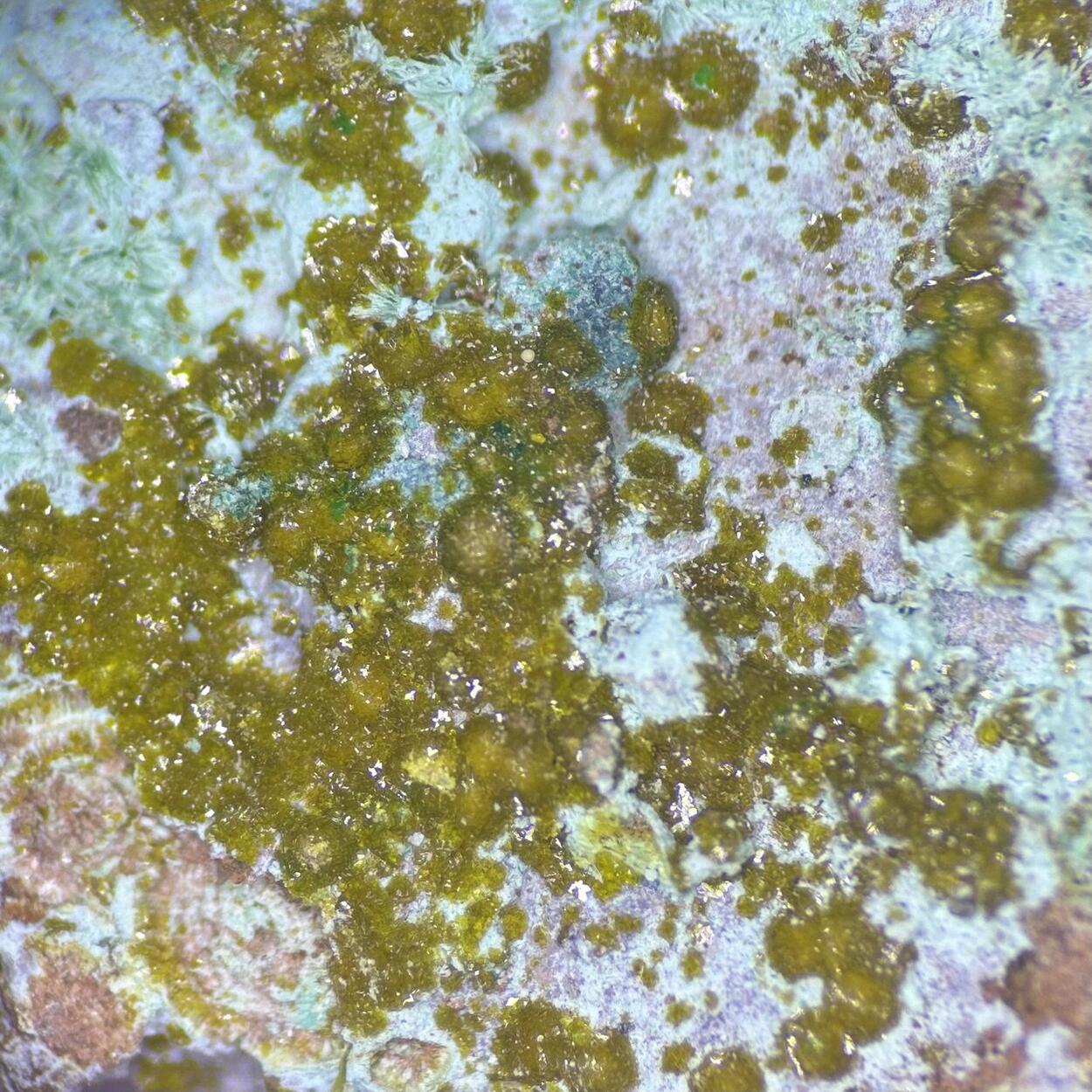 Becquerelite & Uranopilite