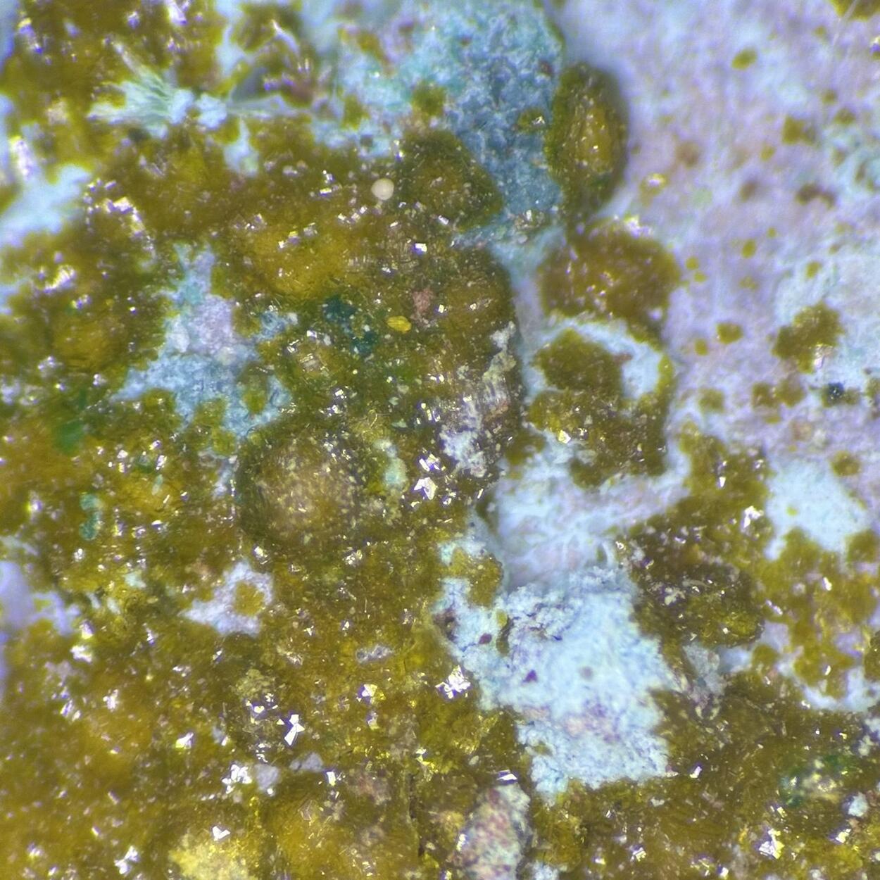 Becquerelite & Uranopilite