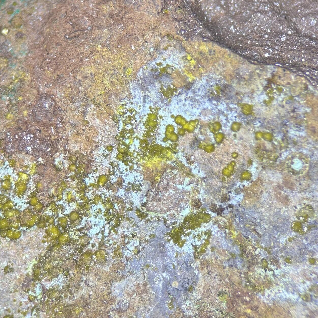 Becquerelite & Uranopilite