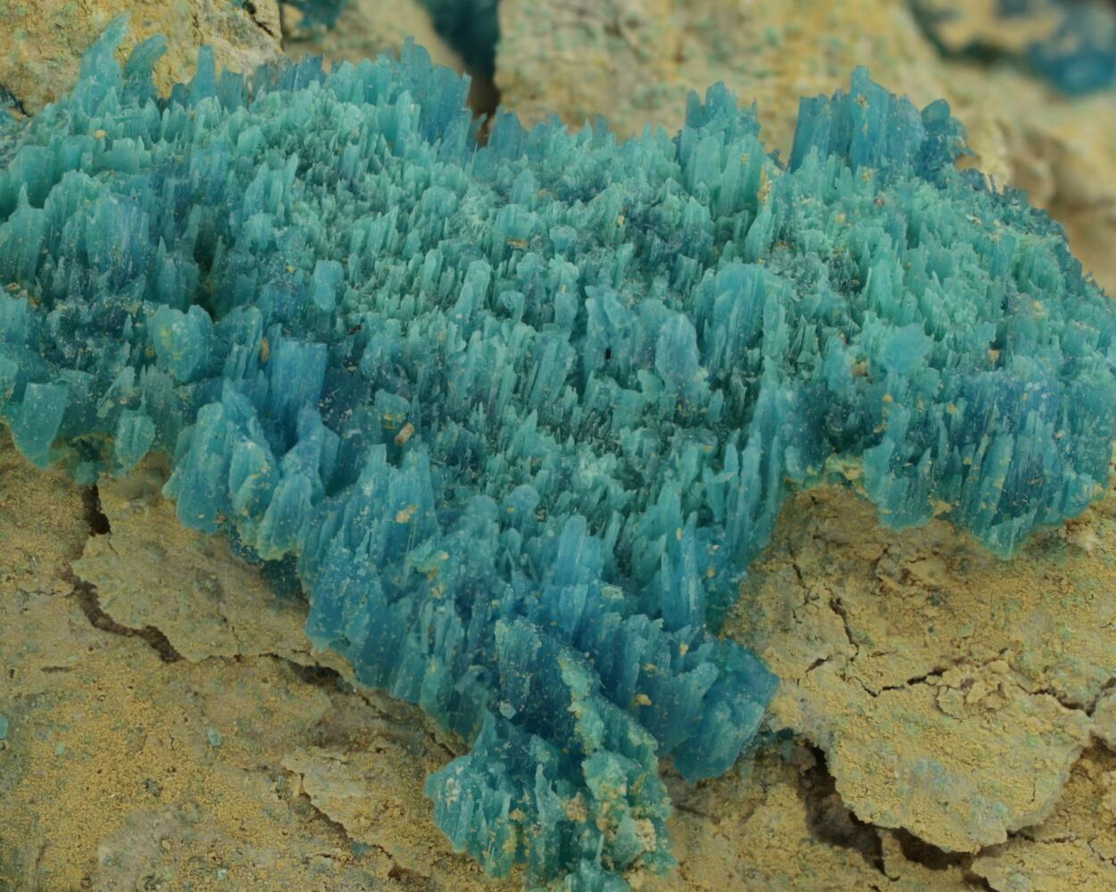 Chalcanthite