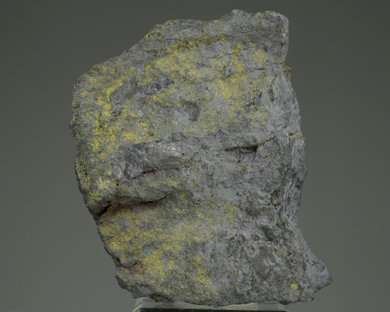 Chapmanite With Native Silver