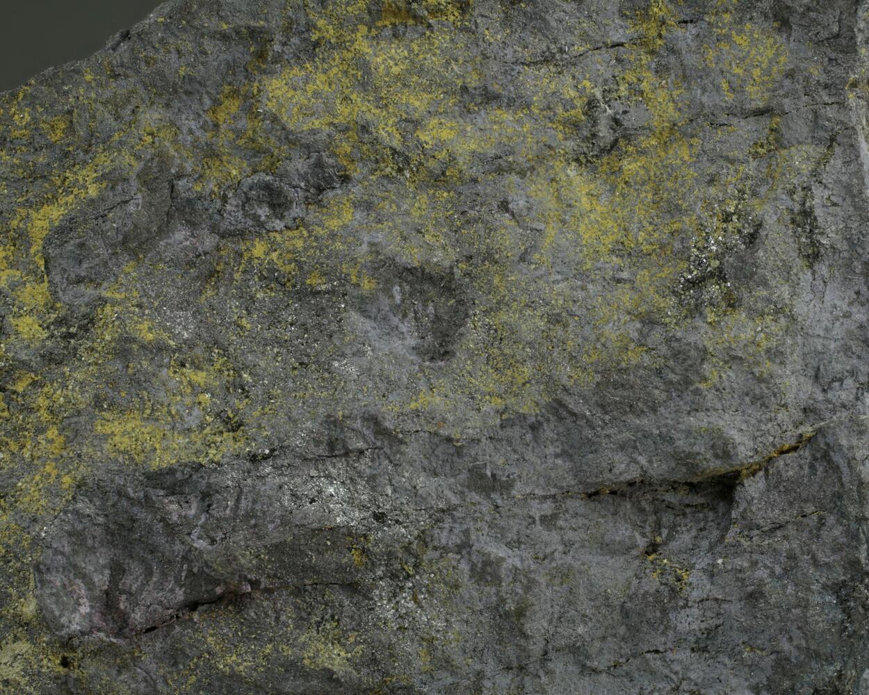 Chapmanite With Native Silver