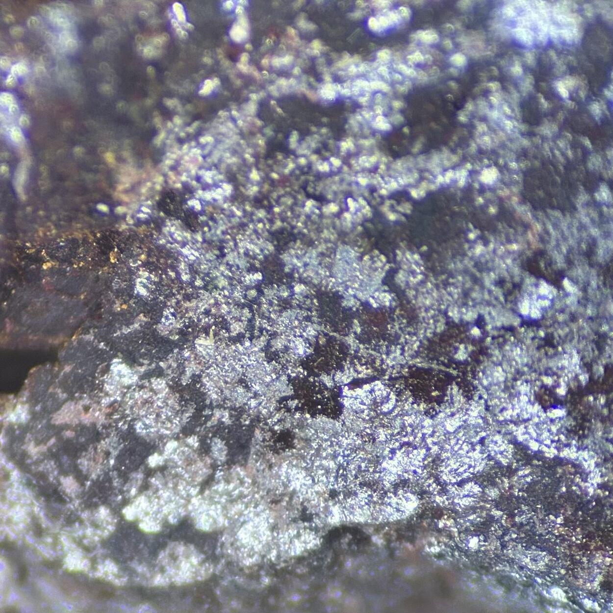 Coulsonite & Magnetite