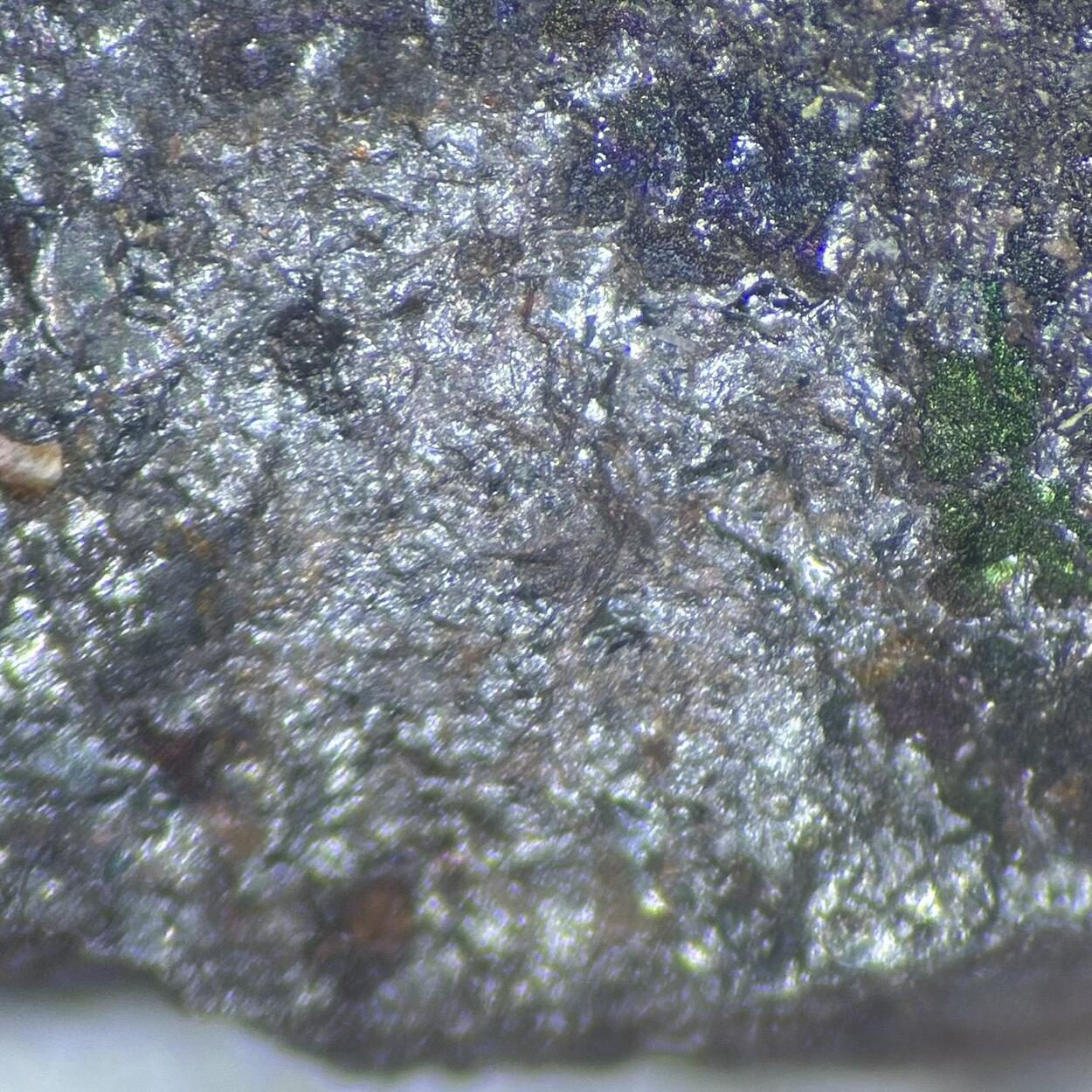 Coulsonite & Magnetite