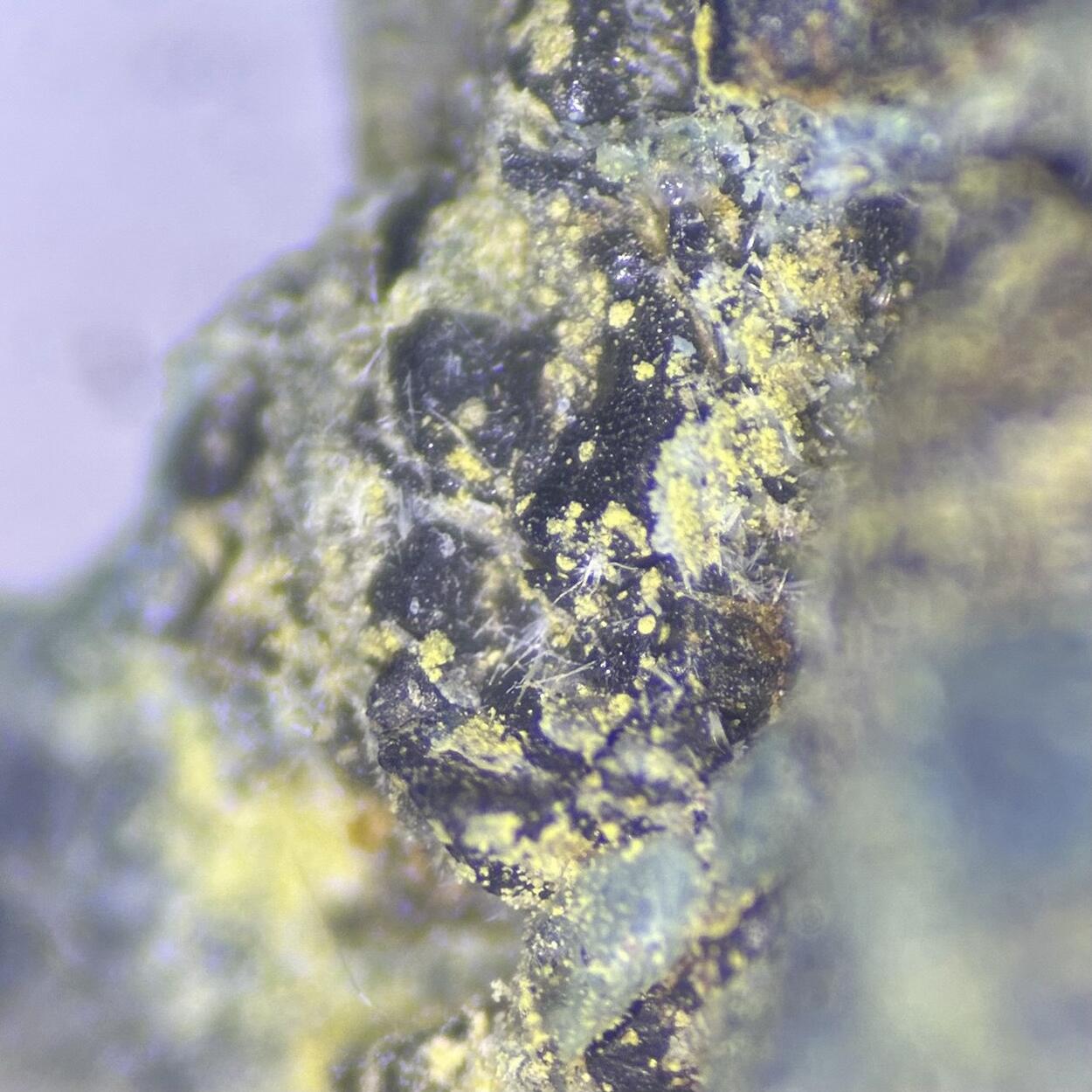 Cousinite & Plancheite