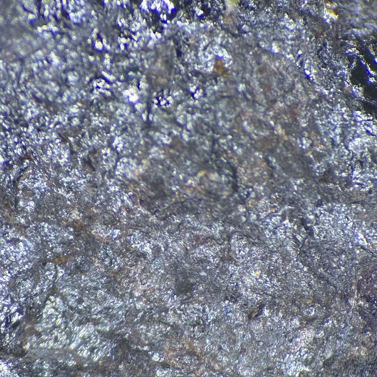 Coulsonite & Magnetite