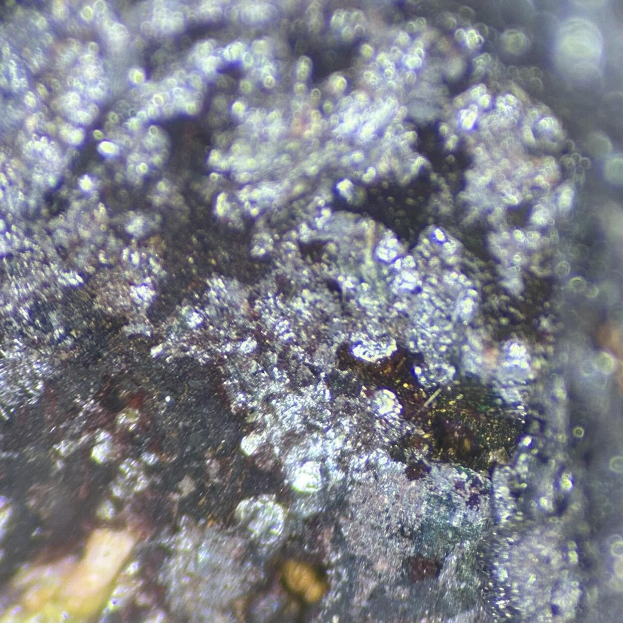 Coulsonite & Magnetite