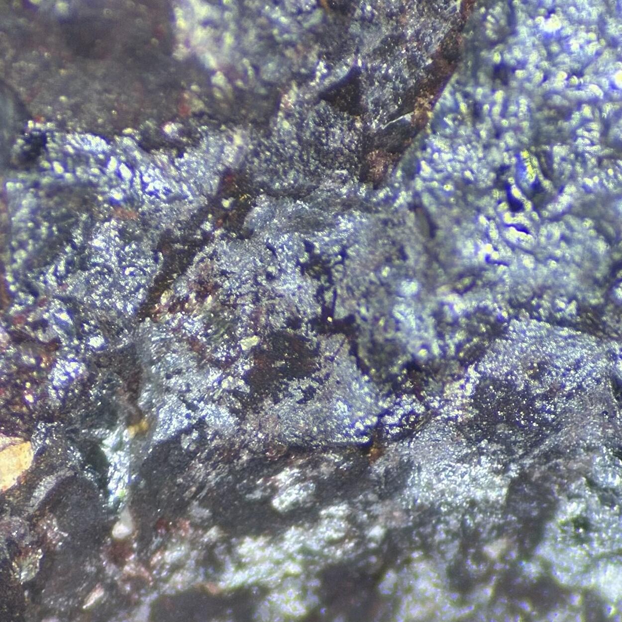 Coulsonite & Magnetite