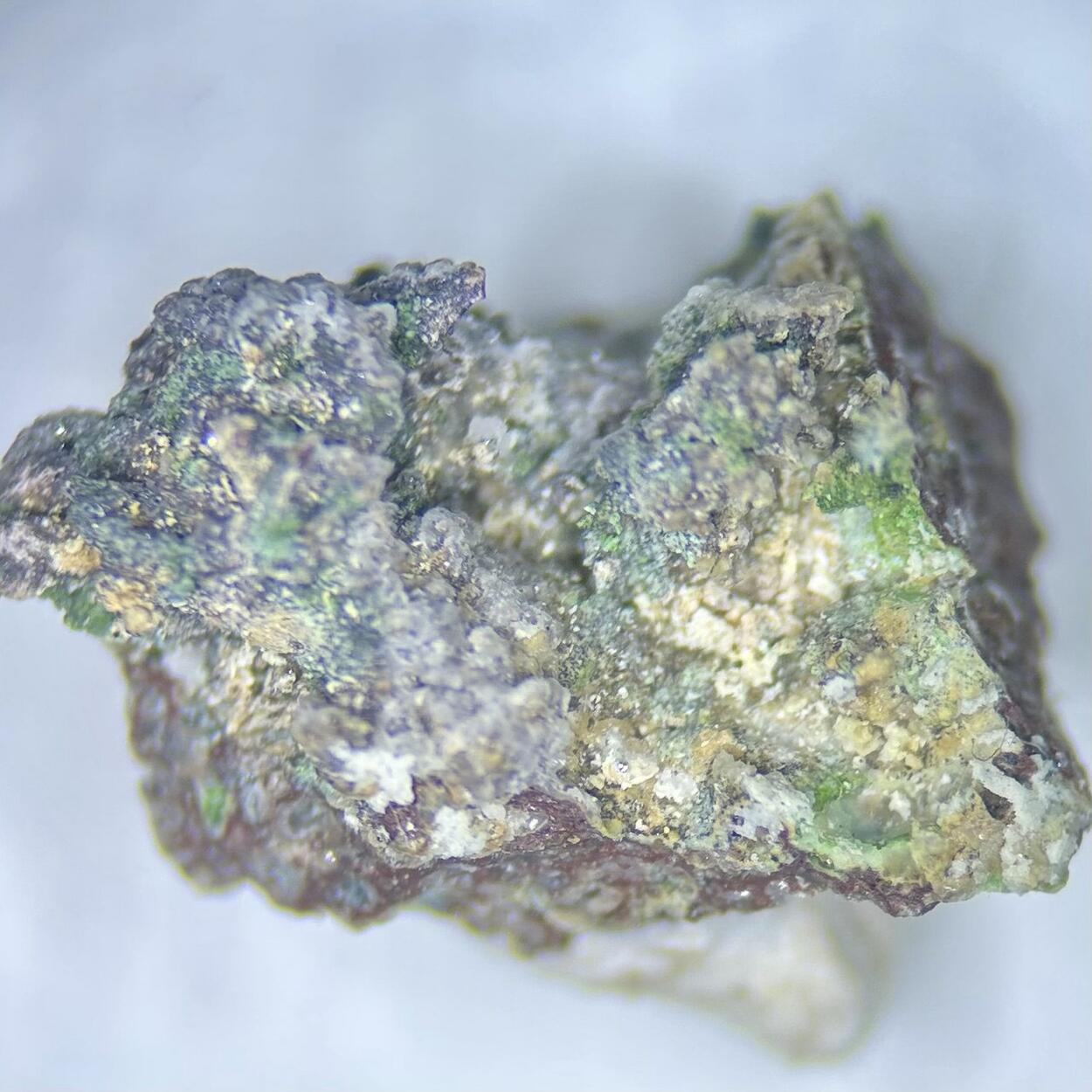 Cupromolybdite