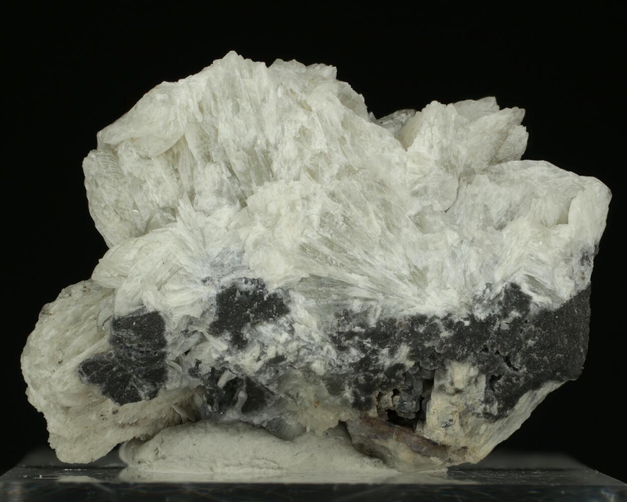 Collinsite
