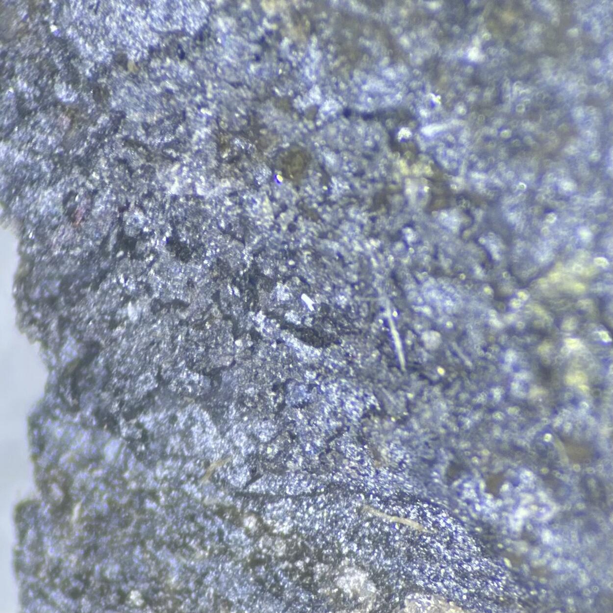 Caryochroite