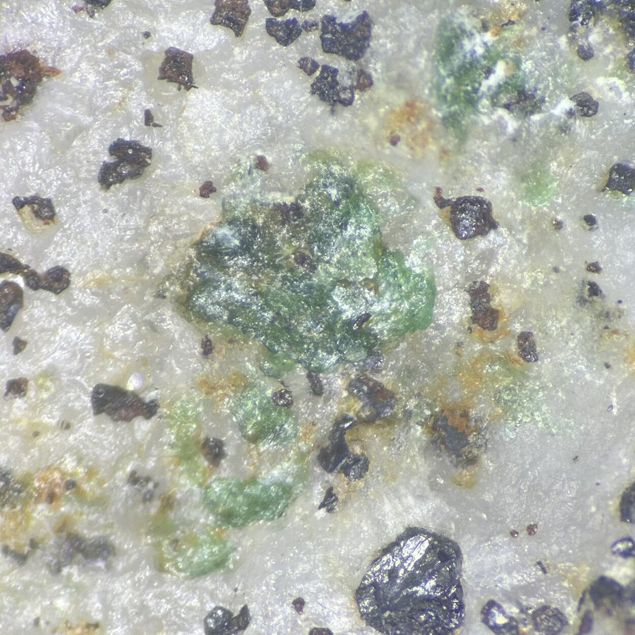 Choloalite Hessite