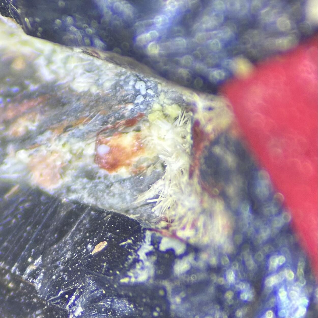 Coquandite Klebelsbergite Stibnite