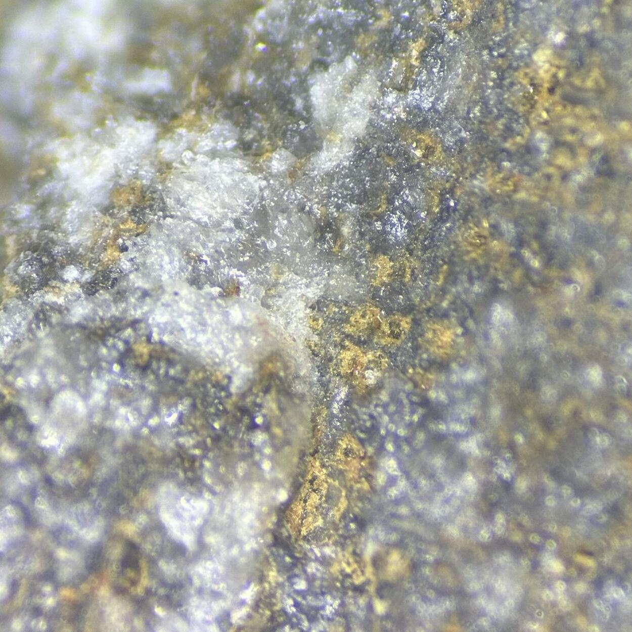 Cobaltlotharmeyerite