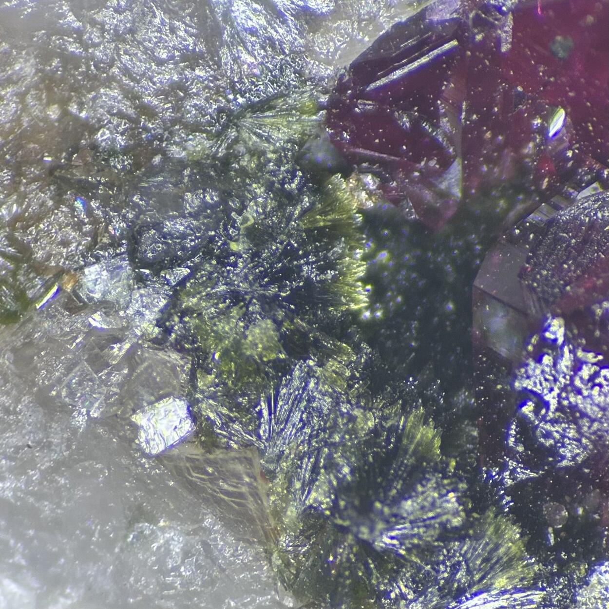 Cobaltaustinite & Roselite