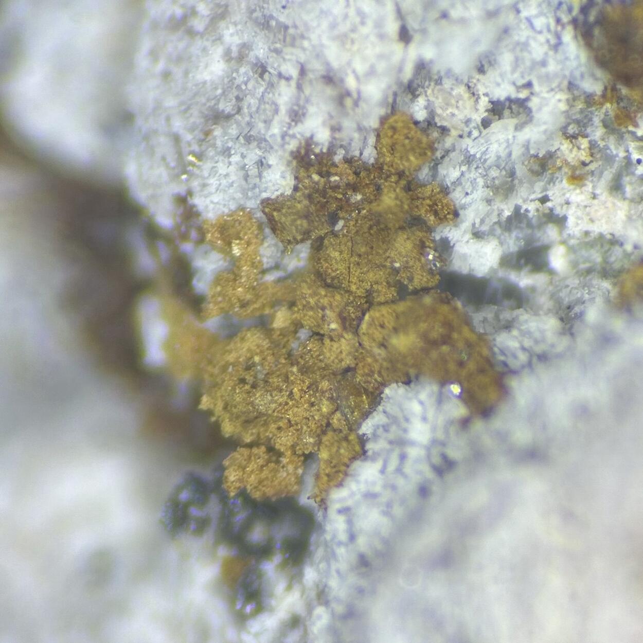 Chernovite-(Y) & Arseniosiderite