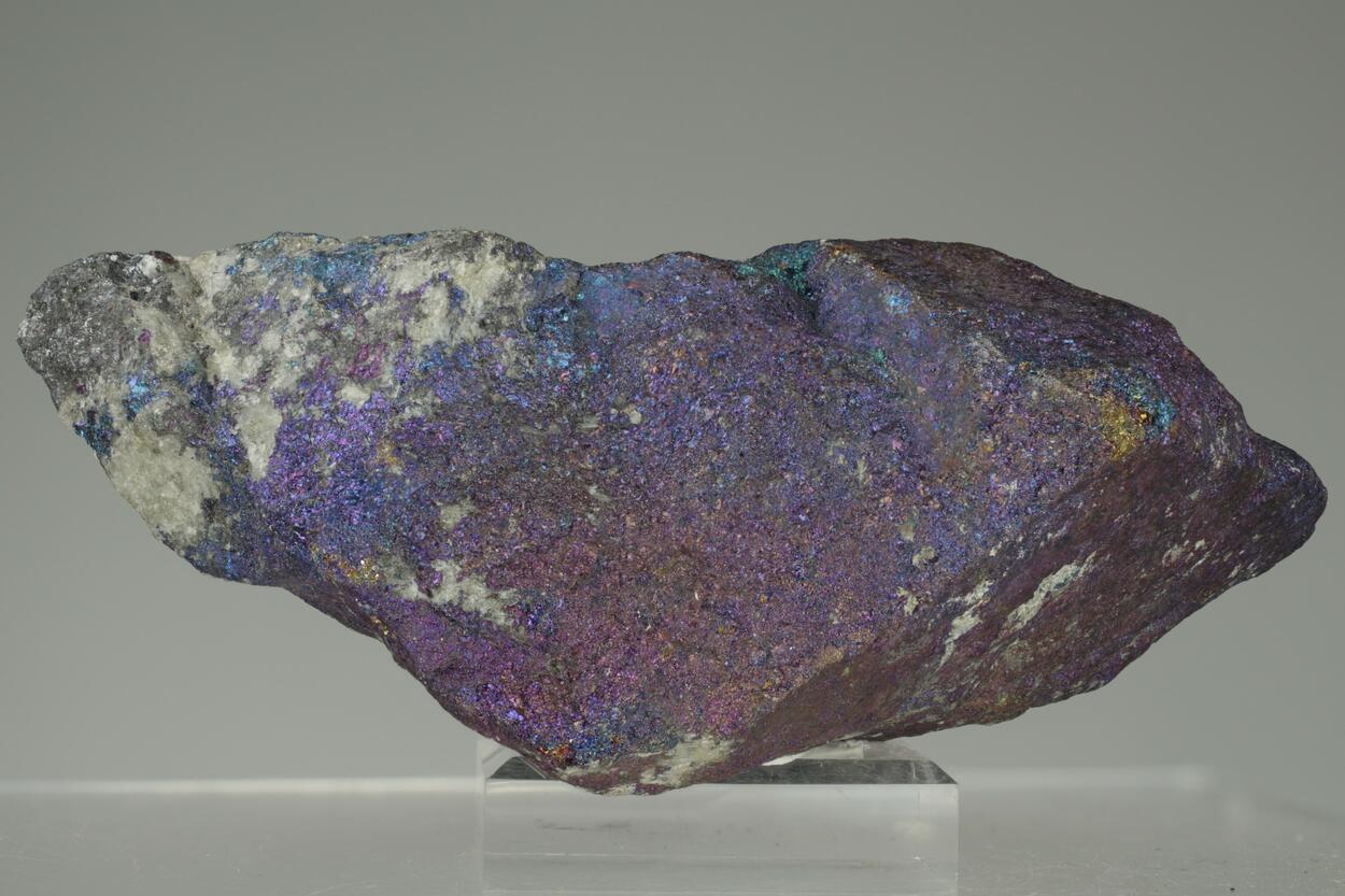 Chalcopyrite & Bornite