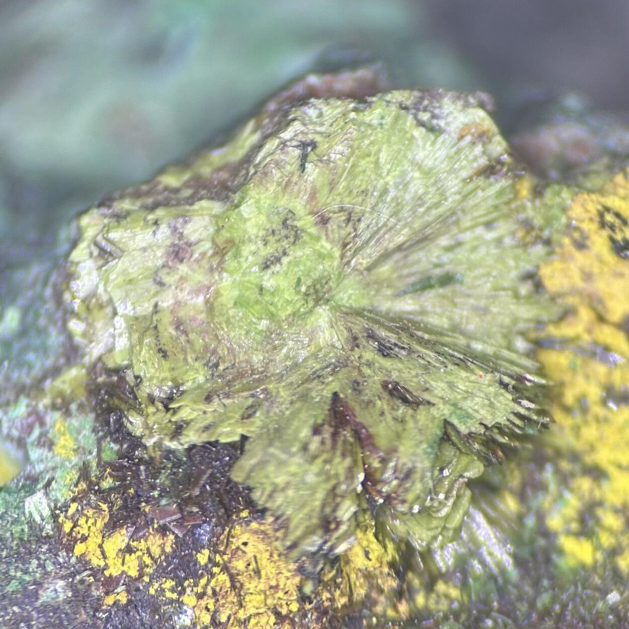 Demesmaekerite & Guilleminite