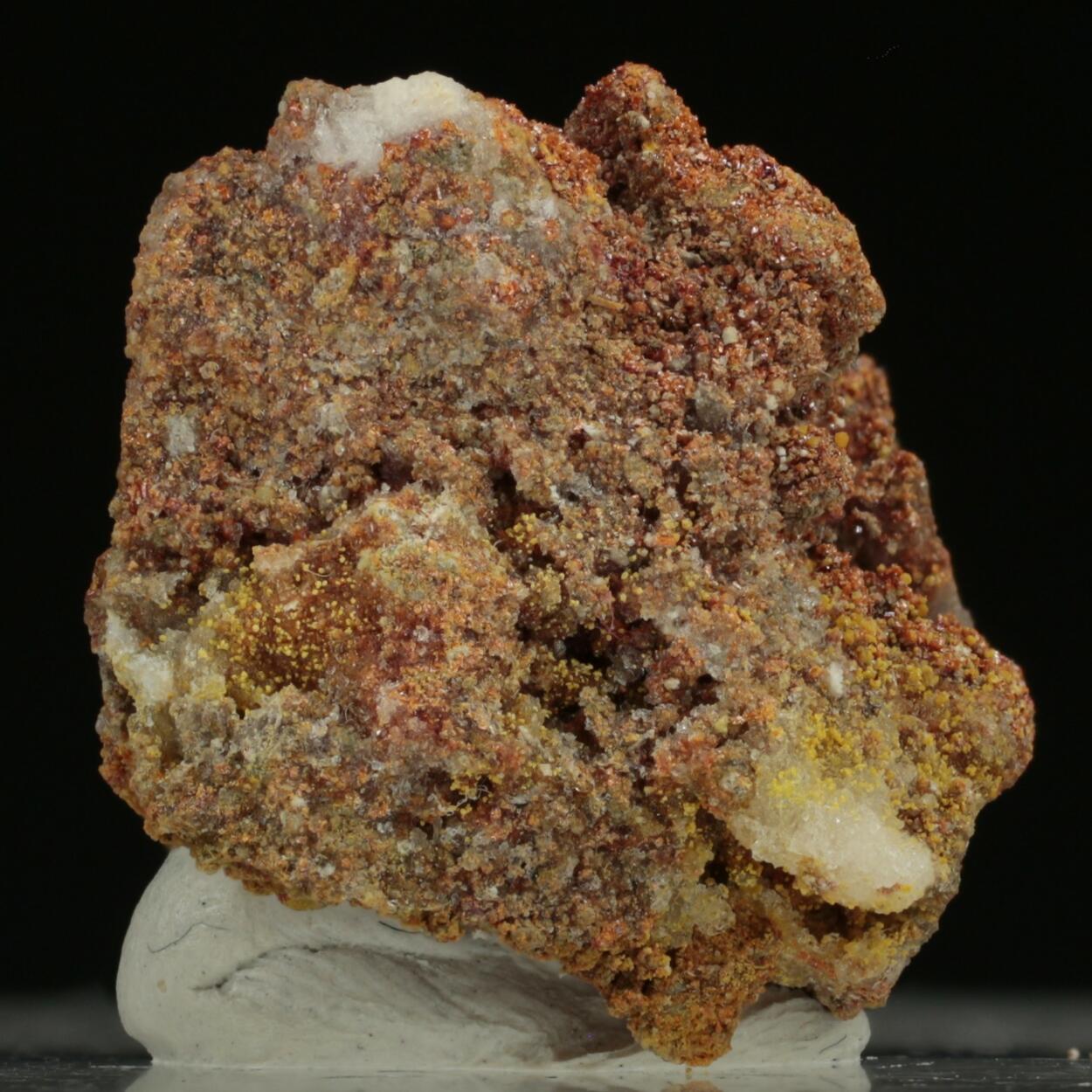 Dimorphite