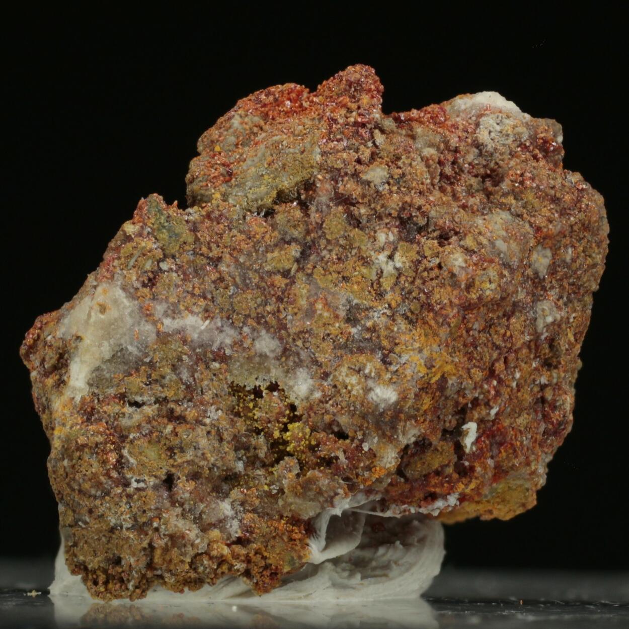 Dimorphite