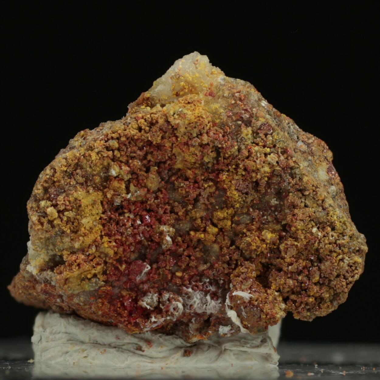 Dimorphite