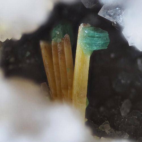 Torbernite & Parsonsite