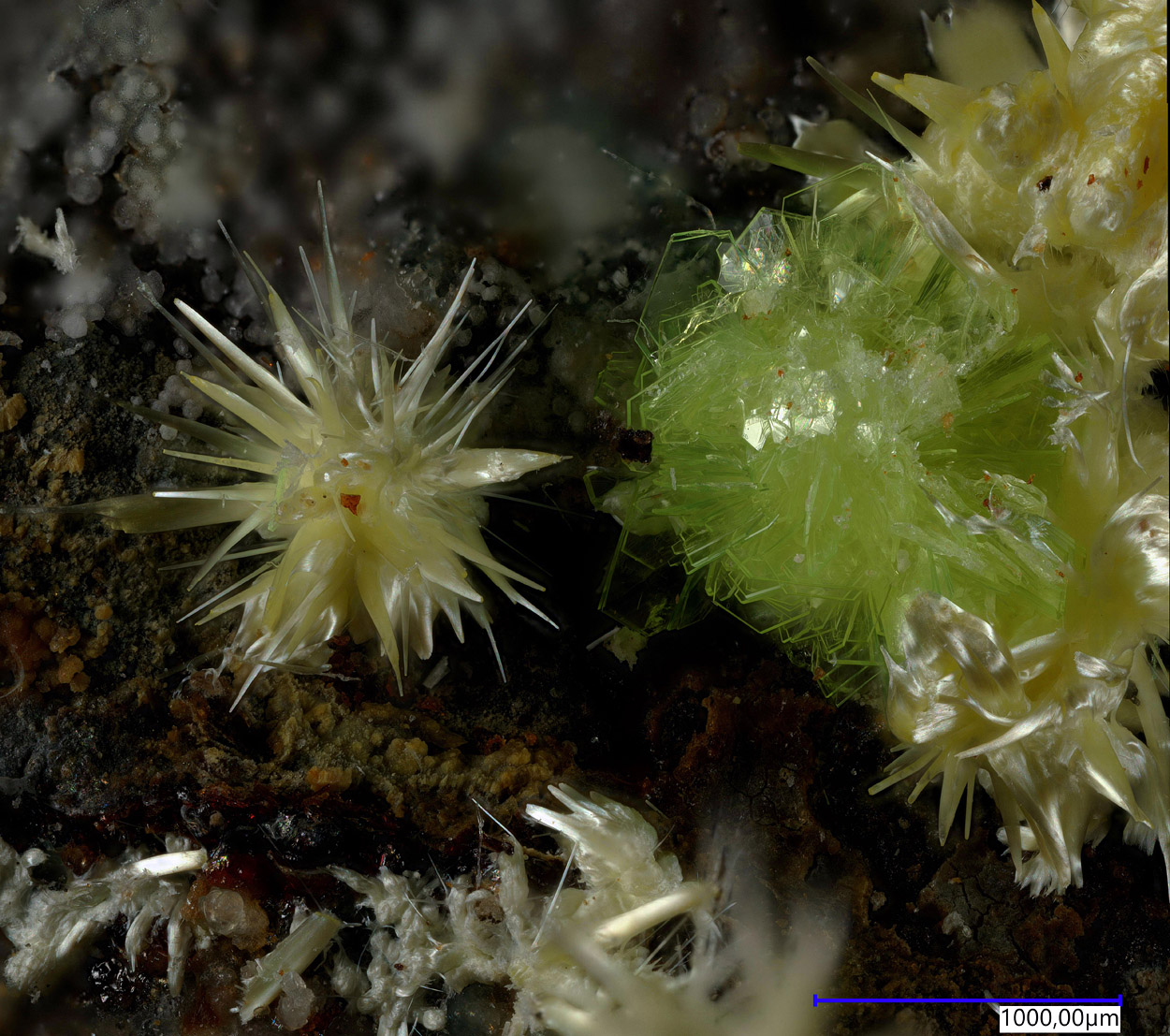 Albrechtschraufite Rabbittite & Schröckingerite