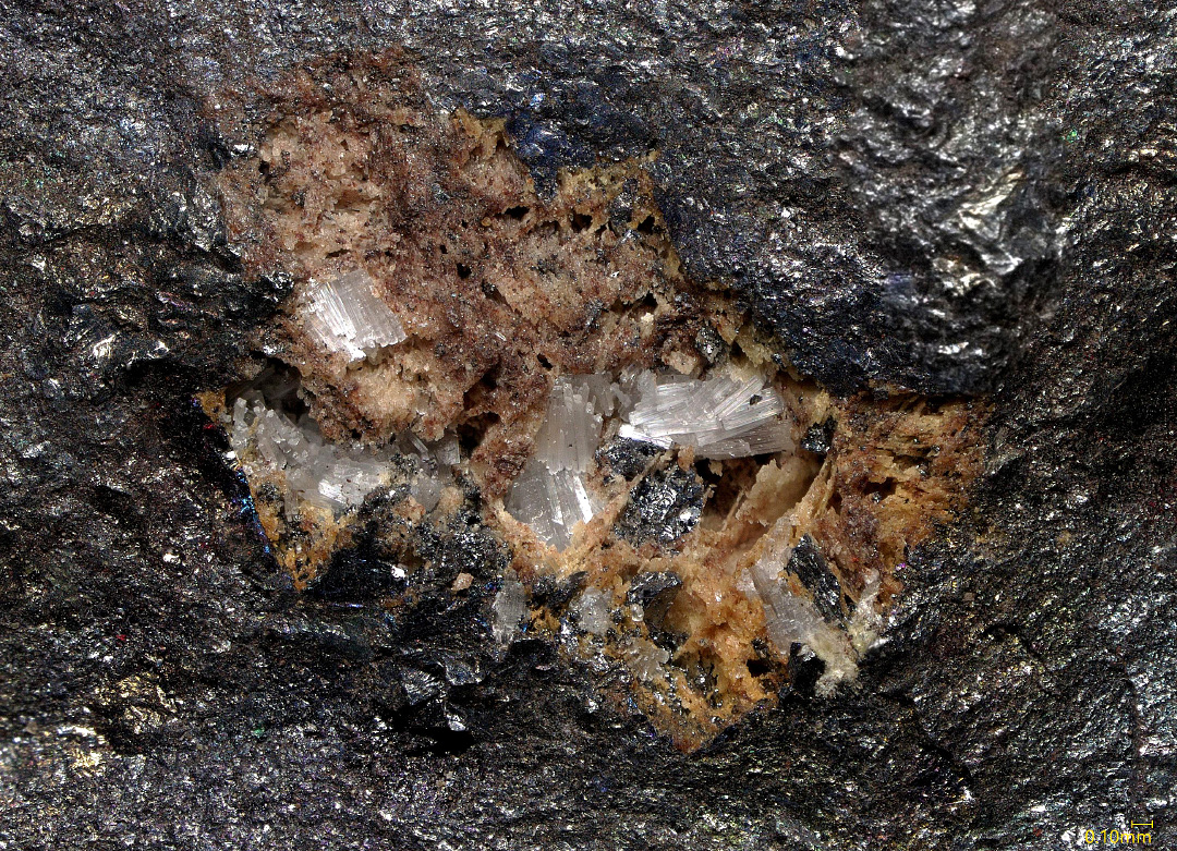 Schaurteite