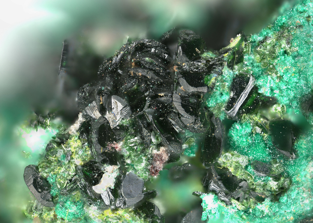 Guilleminite & Derriksite