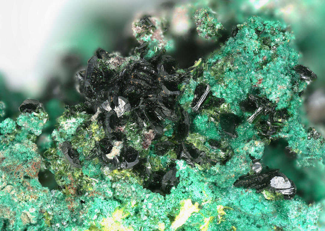 Guilleminite & Derriksite