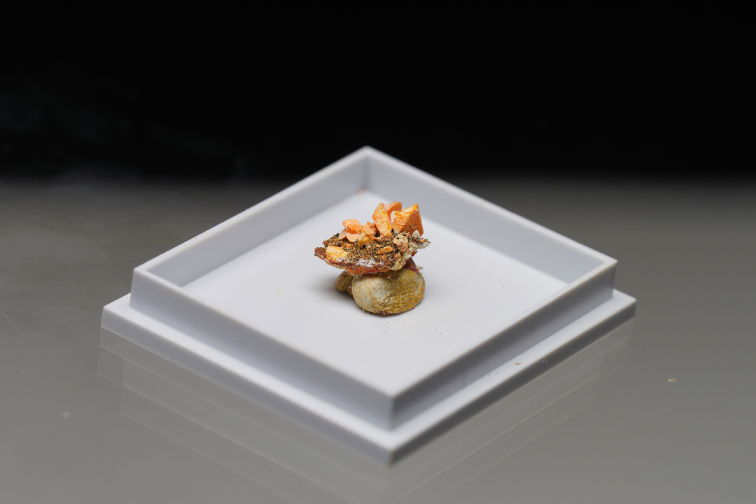 Lorándite & Fangite