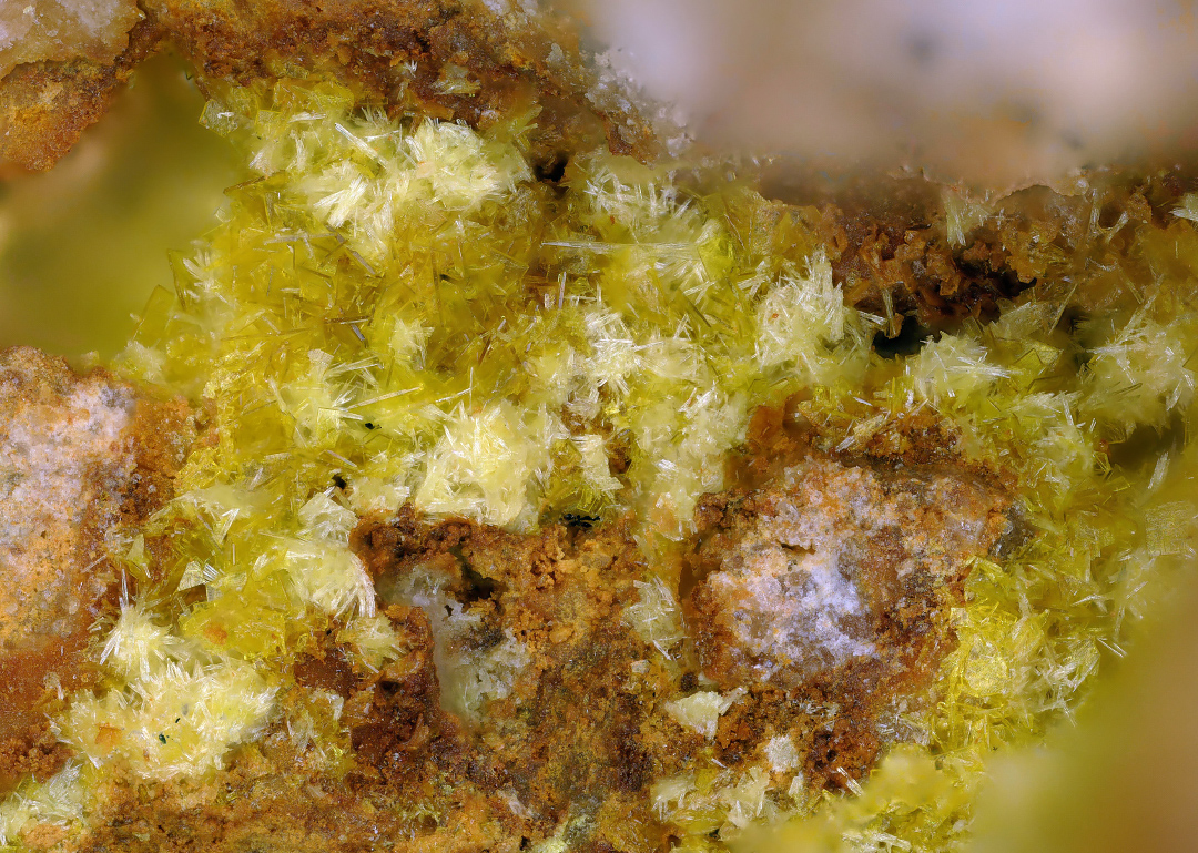 Kasolite & Phosphuranylite